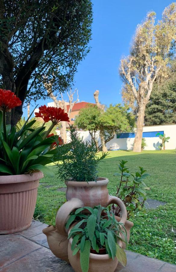 Casa Vacanze Costa Marina Fregenae Extérieur photo