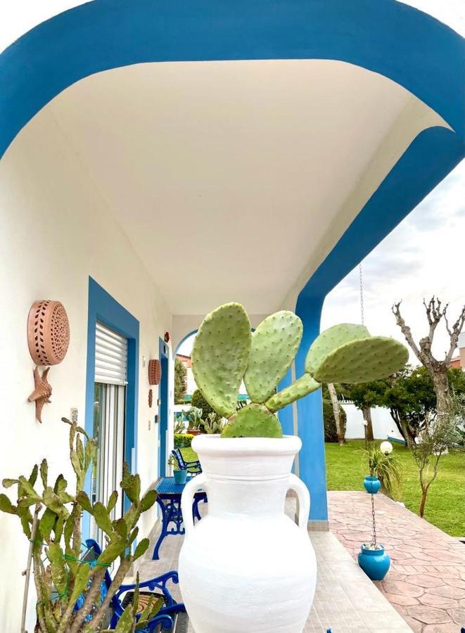 Casa Vacanze Costa Marina Fregenae Extérieur photo